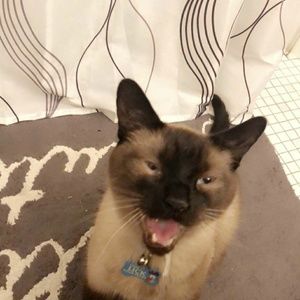 Meet your Posher, James